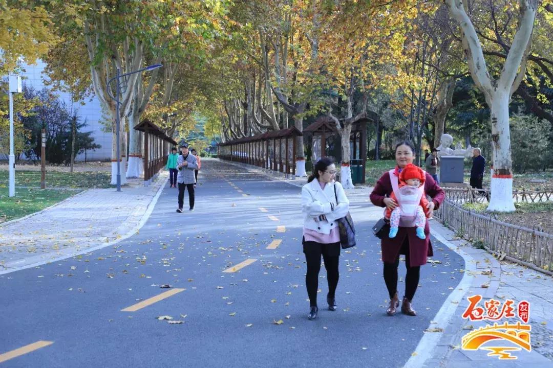 四十年前石家庄街景视频,石家庄40年