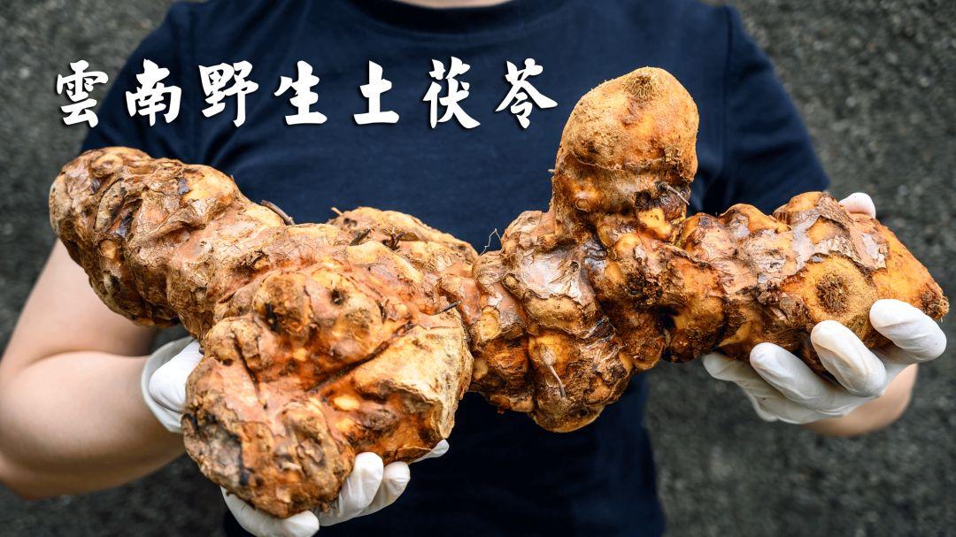 龟界百事通做的龟苓膏，煲前还要先玩火