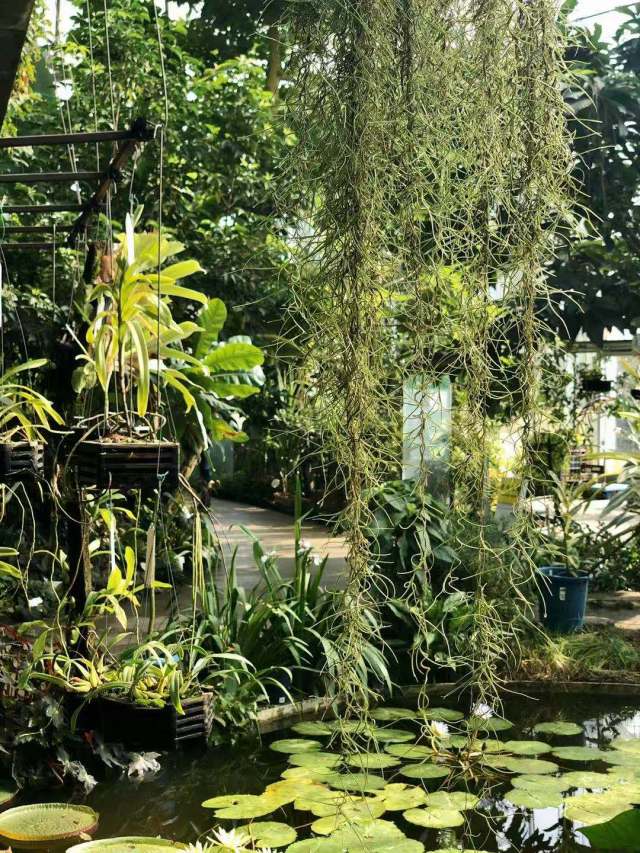 东京到镰仓和箱根攻略,东京箱根富士山镰仓