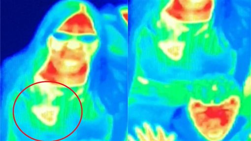 红外热像仪报告,红外透视热像仪