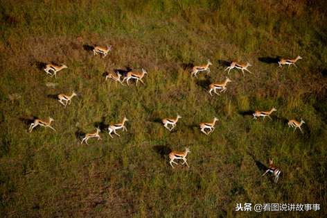 生肖马出生时辰如何看运势,生肖马出生在哪个时辰比较好