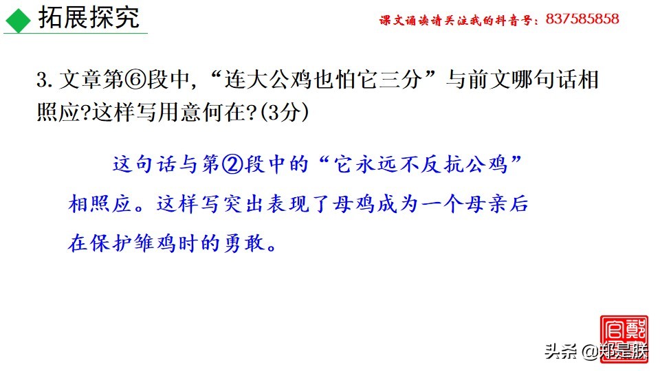 七上人教版第十七课动物笑谈课件,七上语文动物笑谈