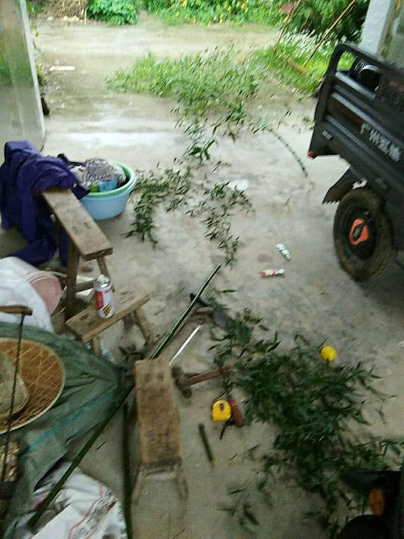 自制竹子鱼竿怎么装线,由竹子自制鱼竿方法视频