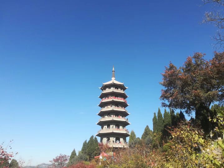 济南红叶谷视频,济南红叶谷今年最佳观赏红叶时间