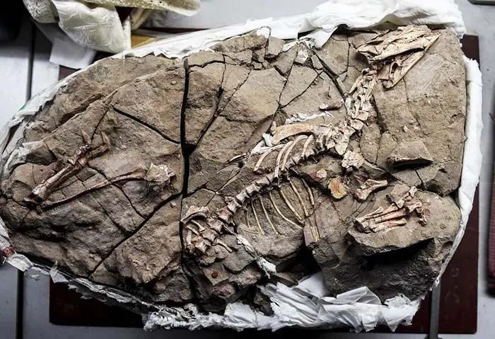 河源客天下涟岸康缦温泉美宿,河源客天下温泉儿童门票多少钱