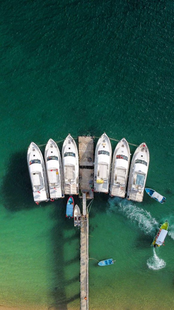 绁炴埛vs妯花姘存墜,鏃ヨ亴绁炴埛鑳滃埄vs鍚嶅彜灞嬮哺