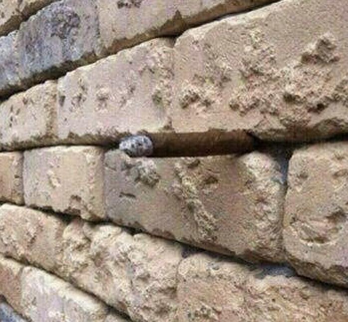 一些很普通的图片,那些看似普通却很惊艳的照片