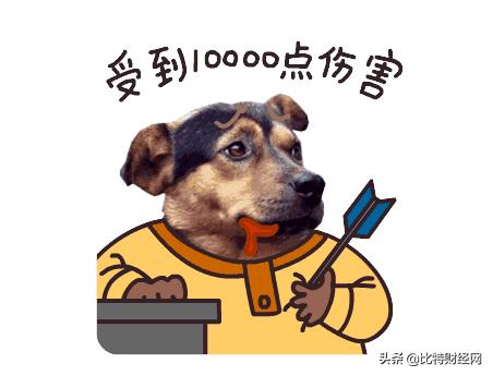 币圈*局骗**下的韭菜人生：何不食肉糜？