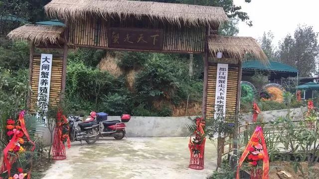 到阳澄湖蟹庄品尝正宗生态大闸蟹,都江堰哪里吃大闸蟹最好