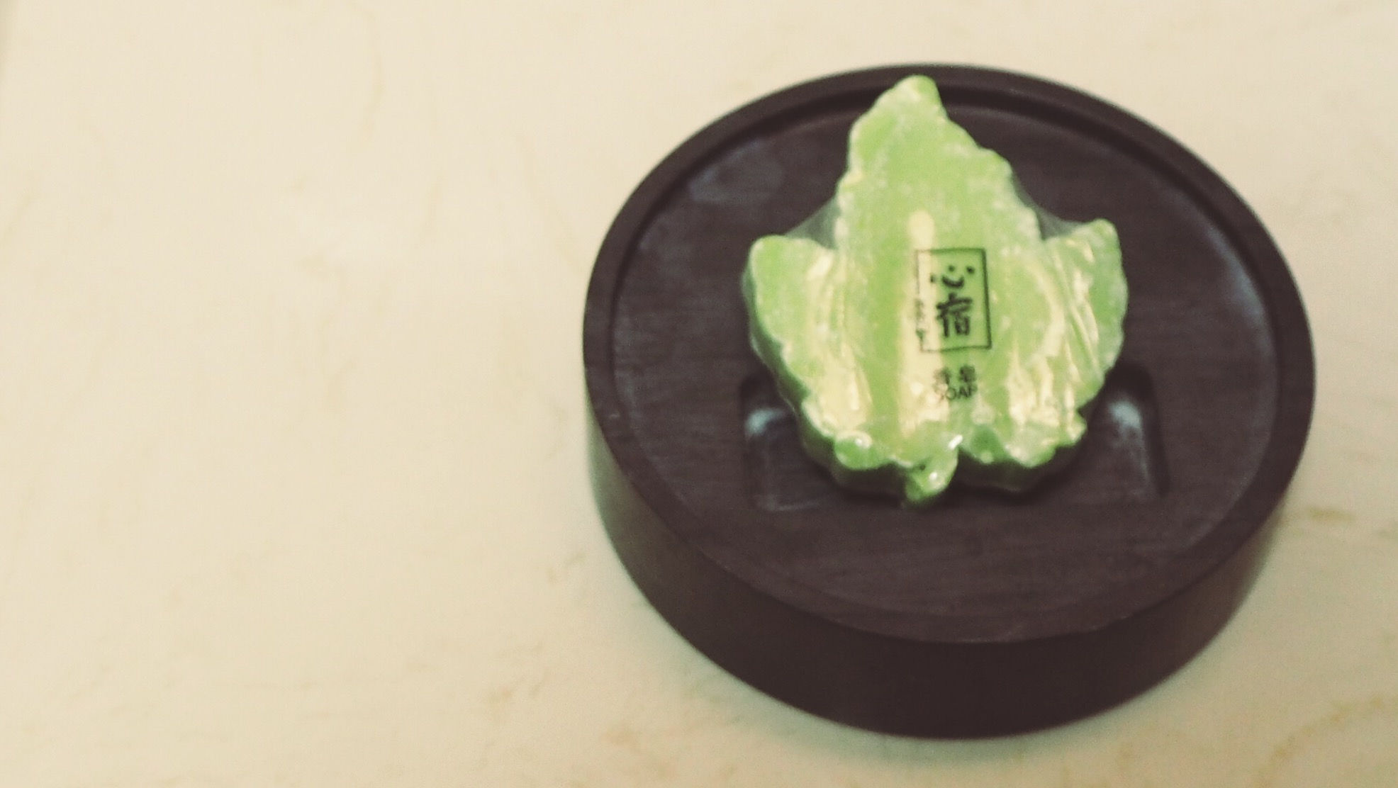 我有一方砚，足以忆熹园