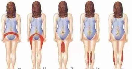 面神经分布图片大全,怎么记住面神经分布