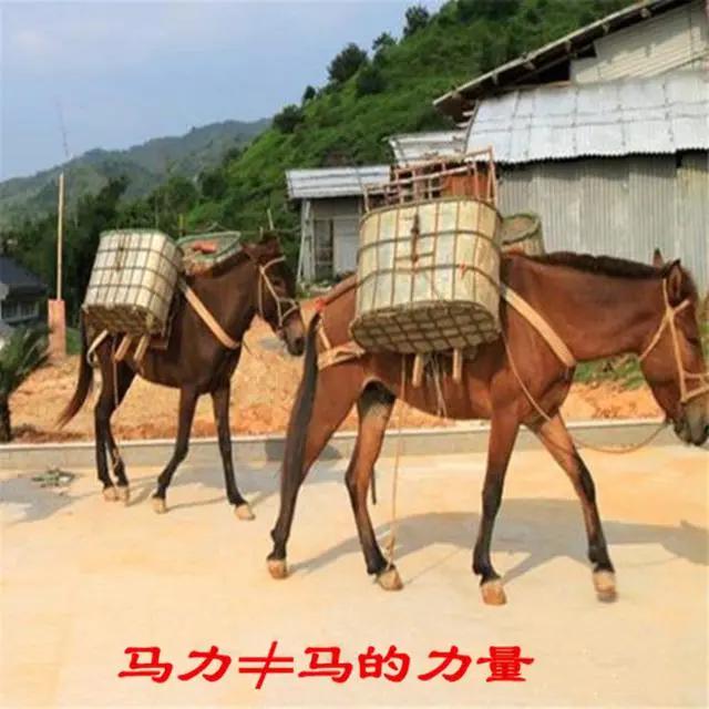 一马力就是一匹马的力量吗？一百马力的汽车能拉过一匹马吗？