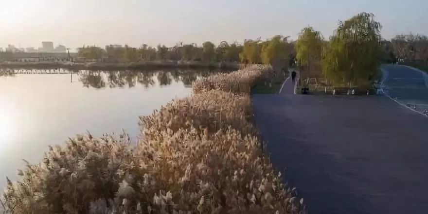 天津国际消费中心建设规划,天津国家会展中心规划