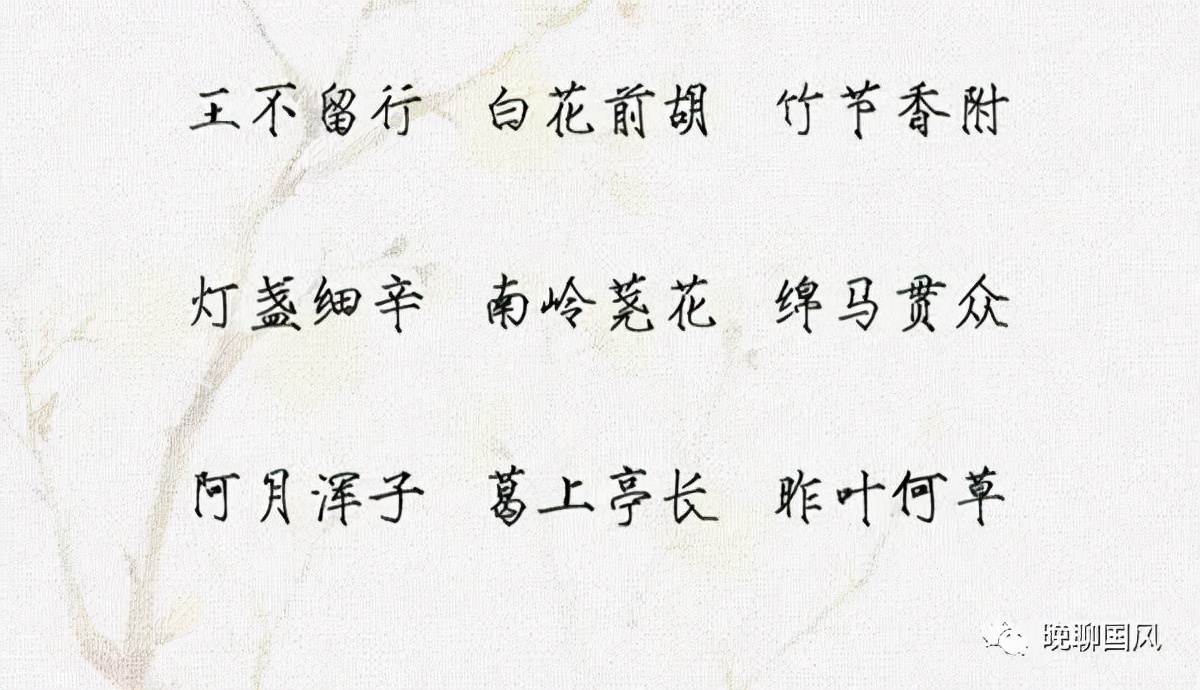 也许你不知道，药名也可以魂牵梦绕