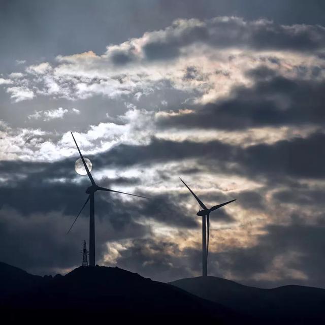 乌蒙大草原高山矮杜鹃,盘州市乌蒙大草原高山