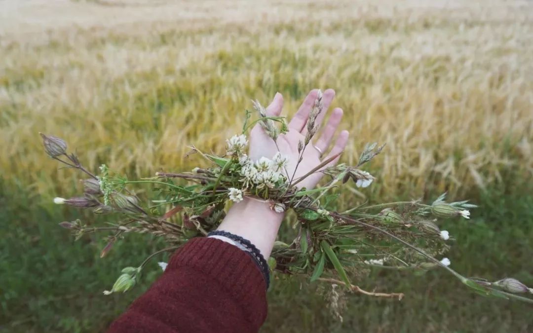 鏈堜寒鏄熷骇鎬庢牱搴斿璐熼潰鎯呯华,鏈堜寒鏄熷骇鎯呯华鐤楁剤