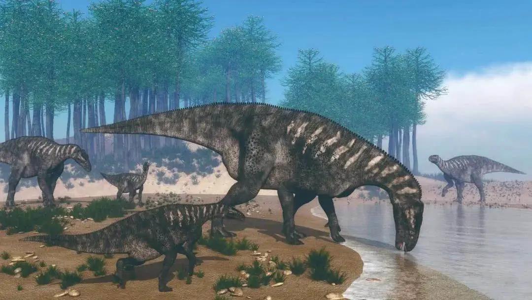 67年了，他还是干架圈唯一顶流！宇宙无敌大哥总