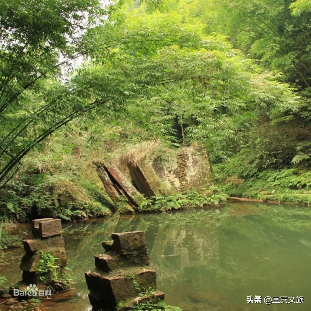 国内赏竹,中国人赏竹