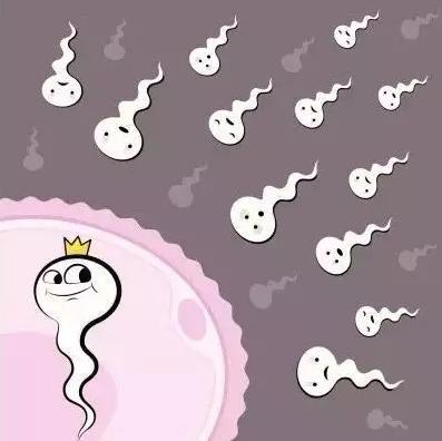 孕妇刚开始怀孕需要注意吃点什么,快速怀孕吃点什么药