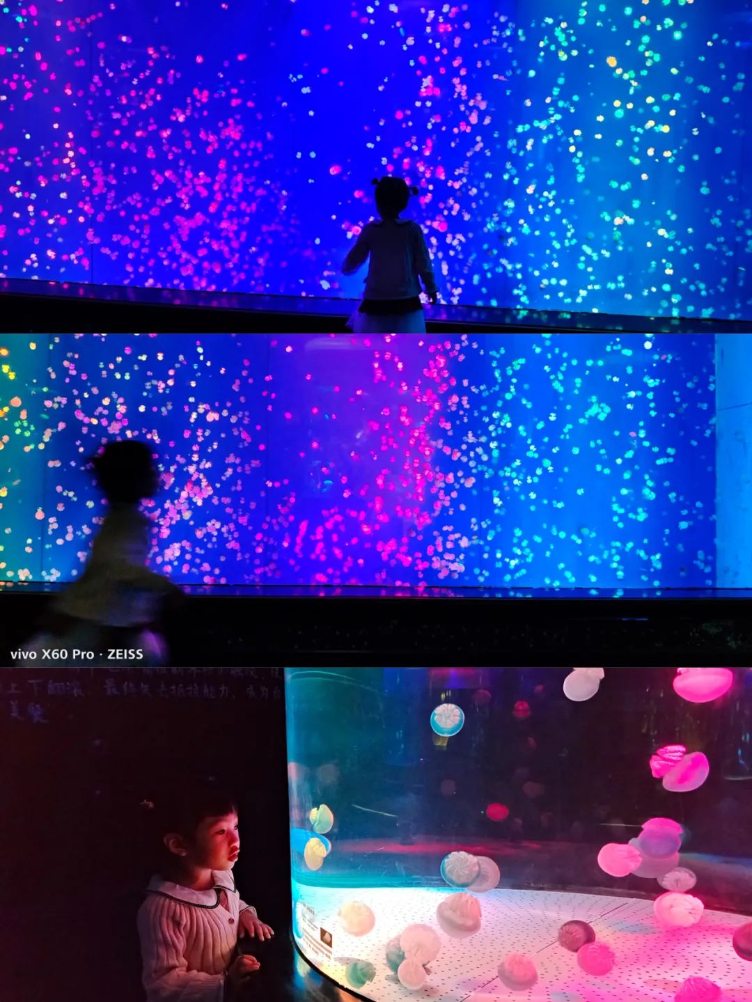 开启非凡住宿万豪旅享家,万豪旅享家邂逅城市五星级酒店