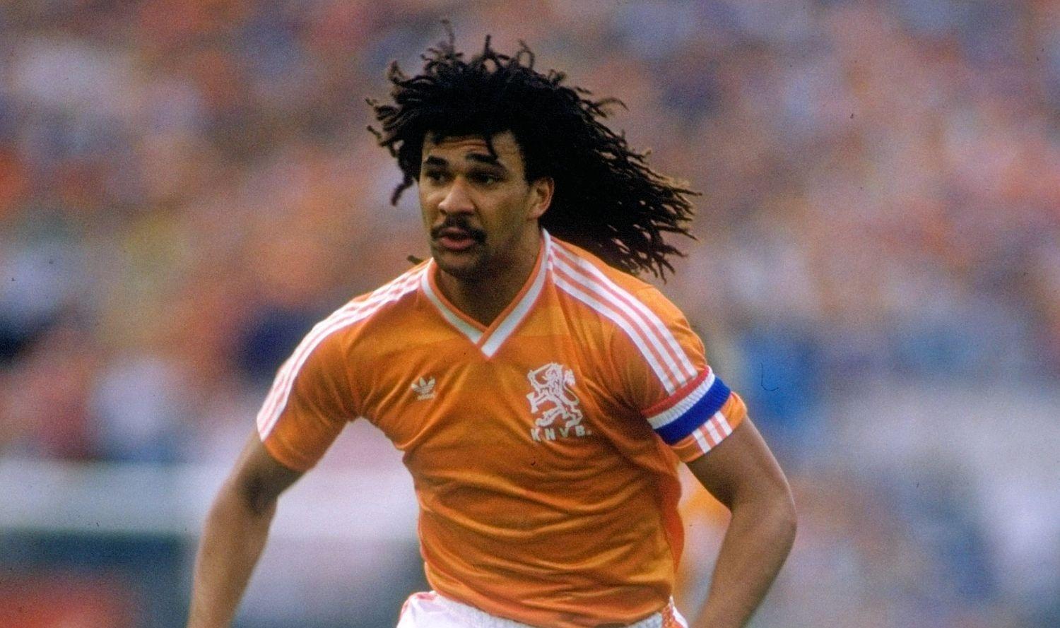 黑色郁金香古利特,古利特为什么叫黑色郁金香