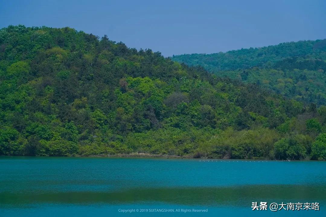 2020江苏省最美乡村道路评选结果,中国十大美丽乡村南京