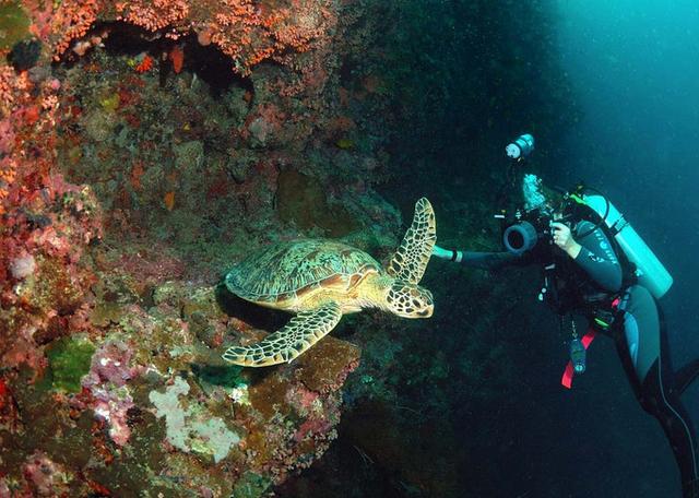 海口至三亚五日游攻略路线图片,海南三亚五日游跟团游哪个好一点