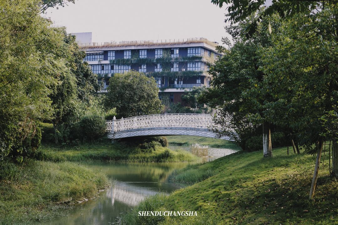 长沙旅游攻略必去的十大景点推荐,长沙旅游攻略必去十大景点免费