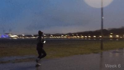 猪的智商体脂率,猪和狗的体脂率