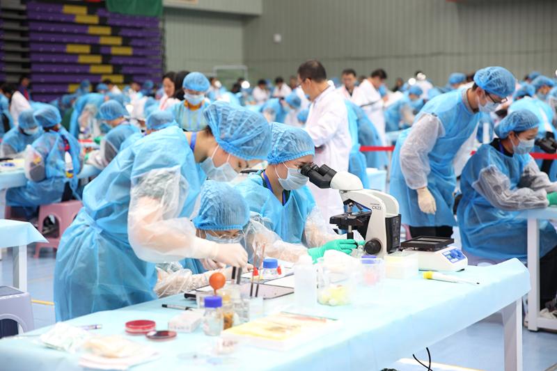 动物医学是什么专业学什么的,动物医学专业未来就业前景怎么样