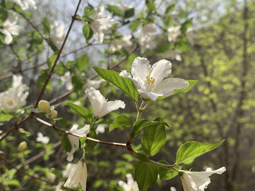 十渡仙西山水寨,十八渡有竹筏吗