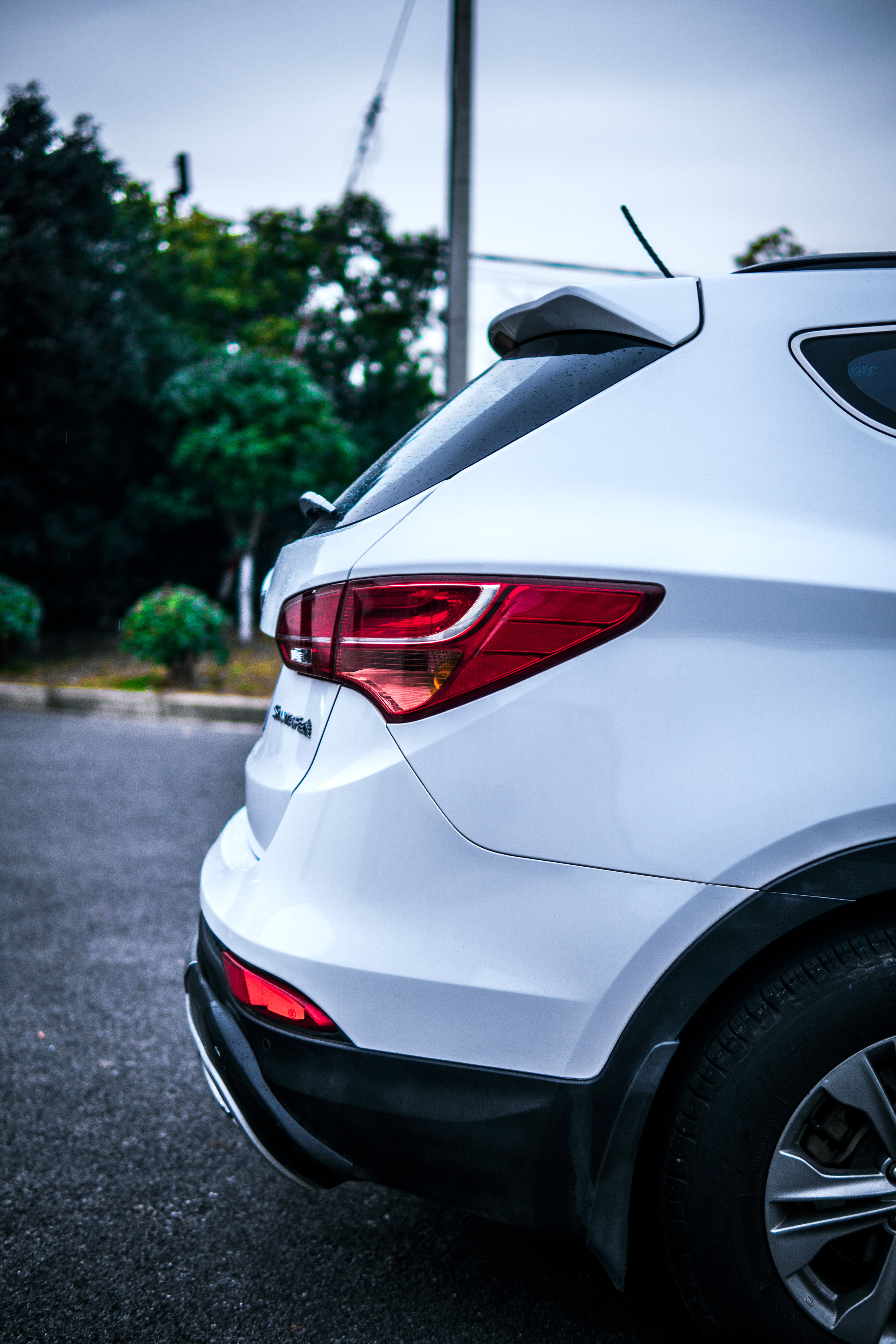 剑走偏锋无往不利,剑走偏锋攻其不备