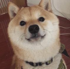 推荐几个少女心爆棚的软件,保证让你爱不释手的软件