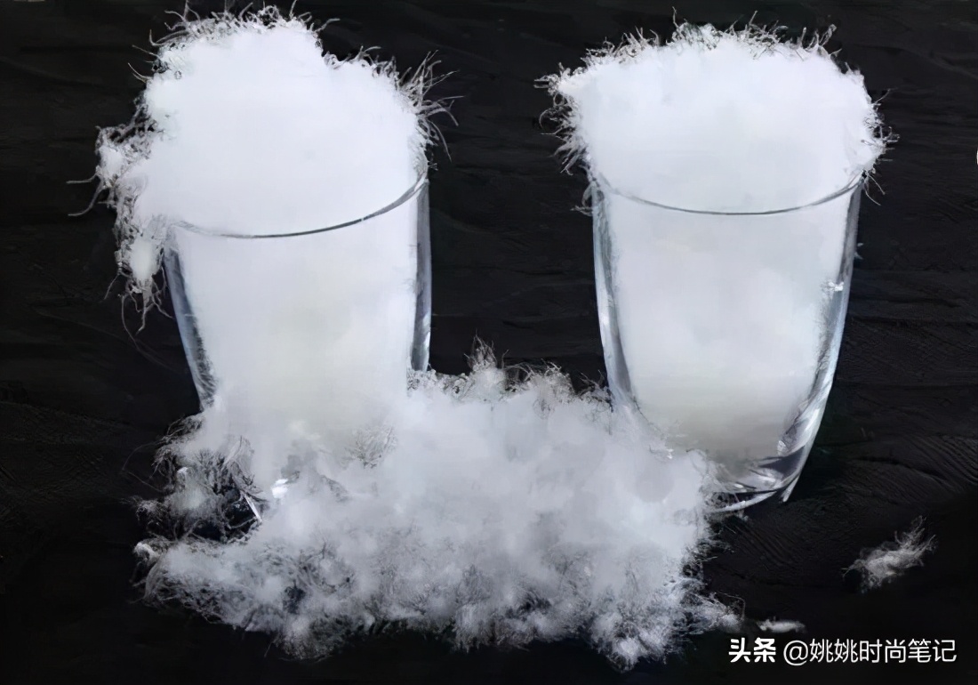 鹅绒的专业知识,羽绒知识的专业讲解