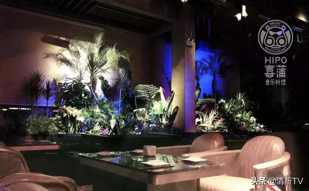 清远音乐餐吧优惠团购,清远海港城音乐餐吧