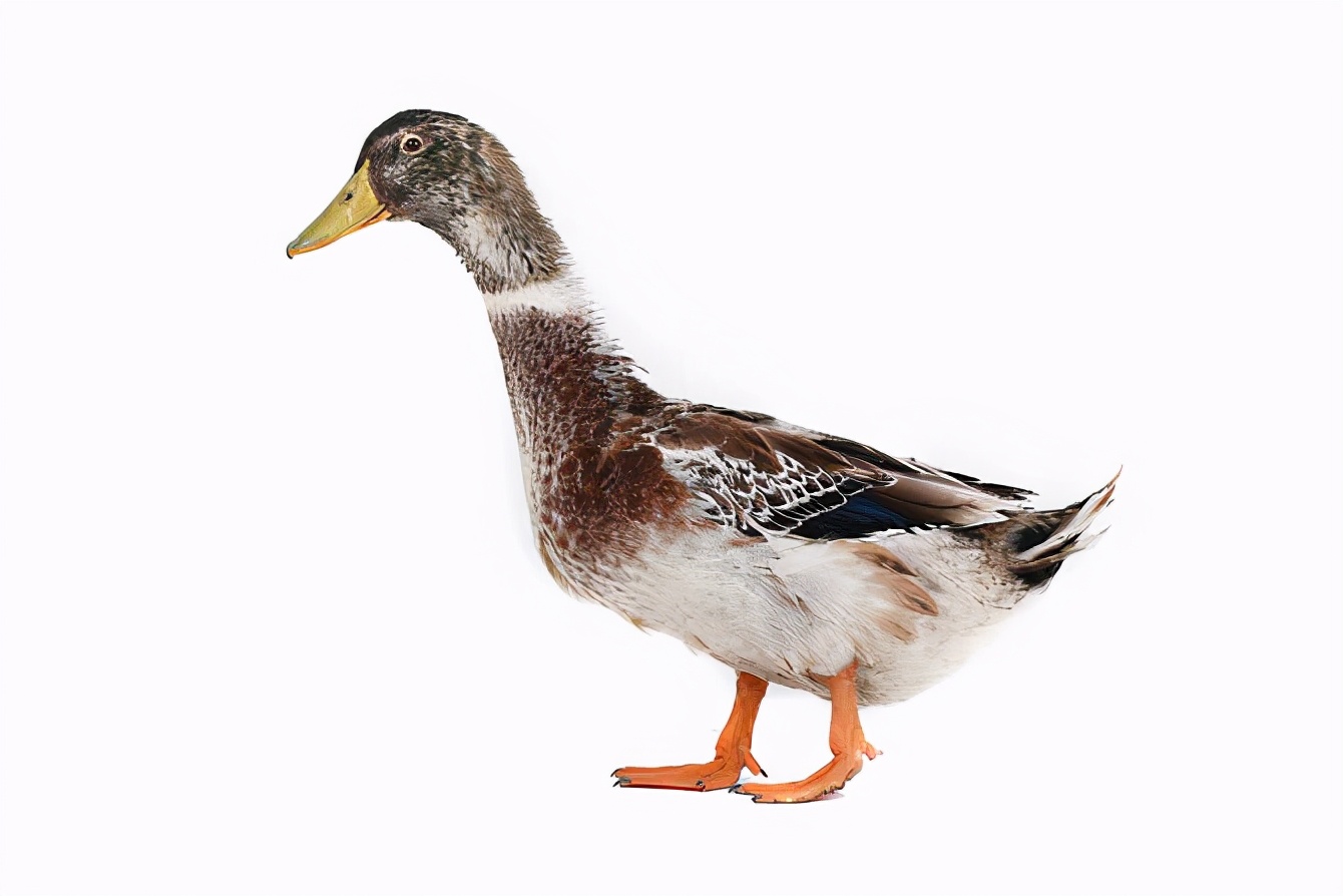 三星堆三号坑出土的青铜神坛文物,三星堆再出土青铜大面具