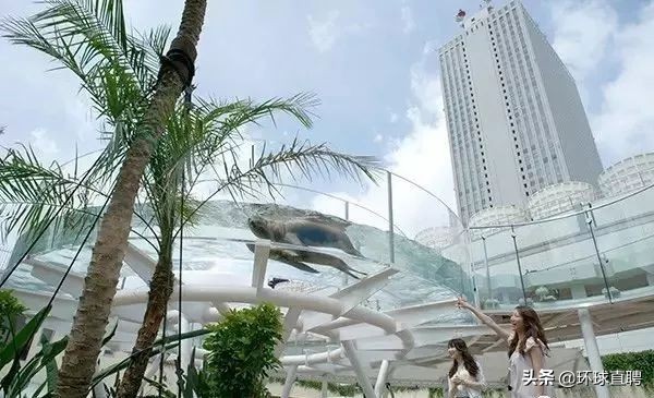 日本东京jr山手线,东京站新干线和山手线