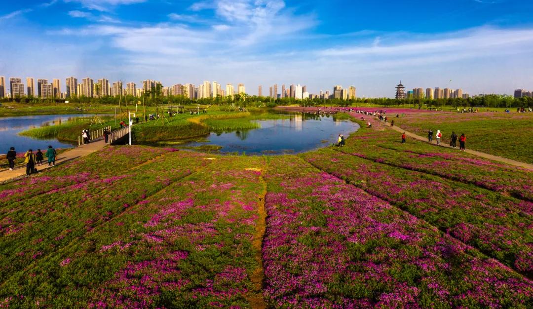 长沙岳麓区适合一个人去的地方,五一长沙岳麓区哪里好玩