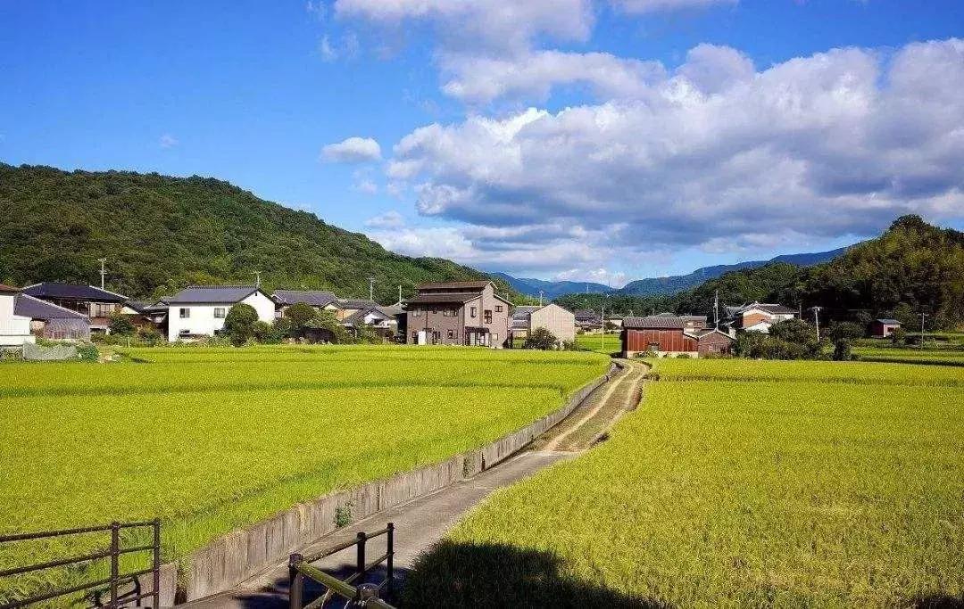 日本高科技农业有哪些,日本农业值得研究的点