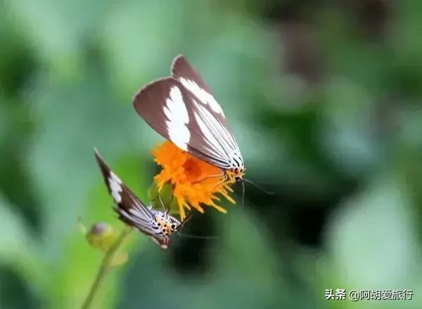 珠海最全攻略，全珠海最长的沙滩原来藏在这里