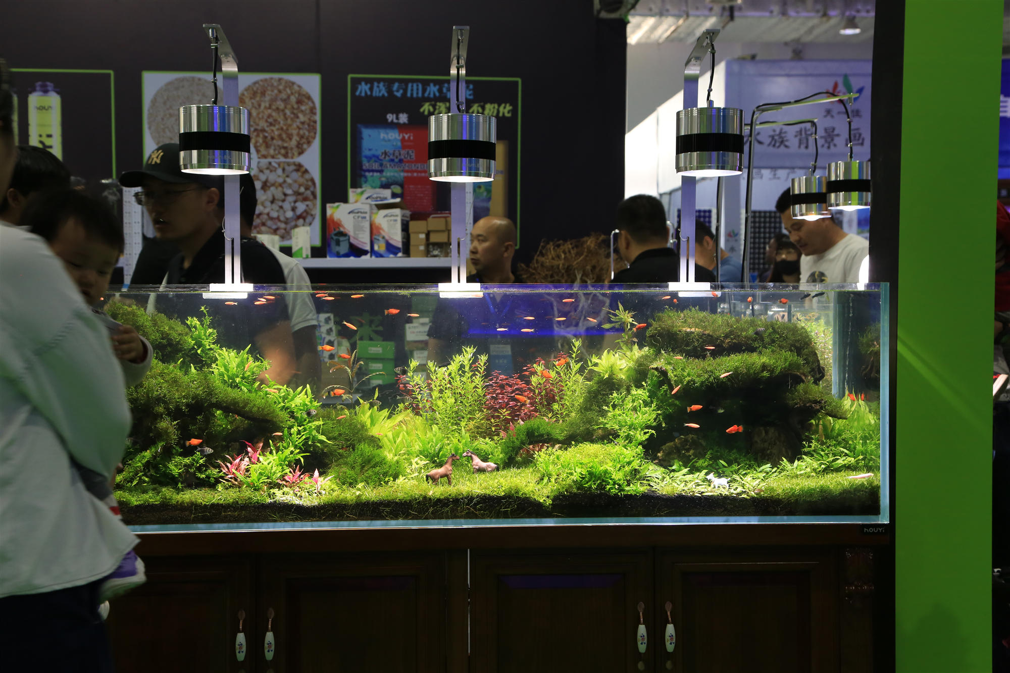 淡水水族展,中国国际水族展