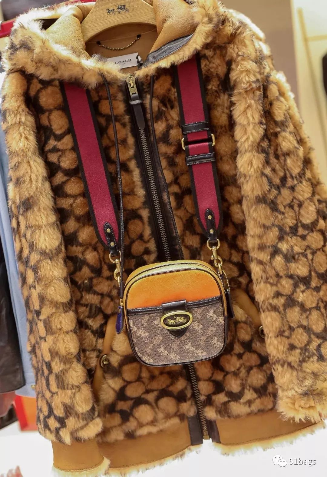 Coach全新马车系列：HorseCarriage来上车