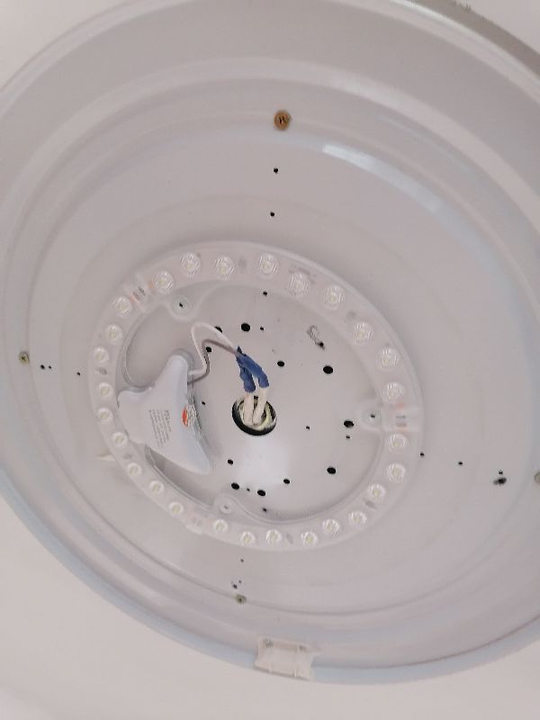 主机灯不亮但是风扇转,风扇灯不亮的原因分析