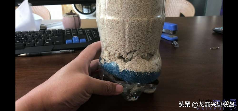 从零开始玩海缸的方法,从零开始玩海缸全过程