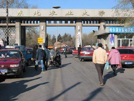 哈尔滨升学率前三的学校,哈尔滨什么大学值得报考