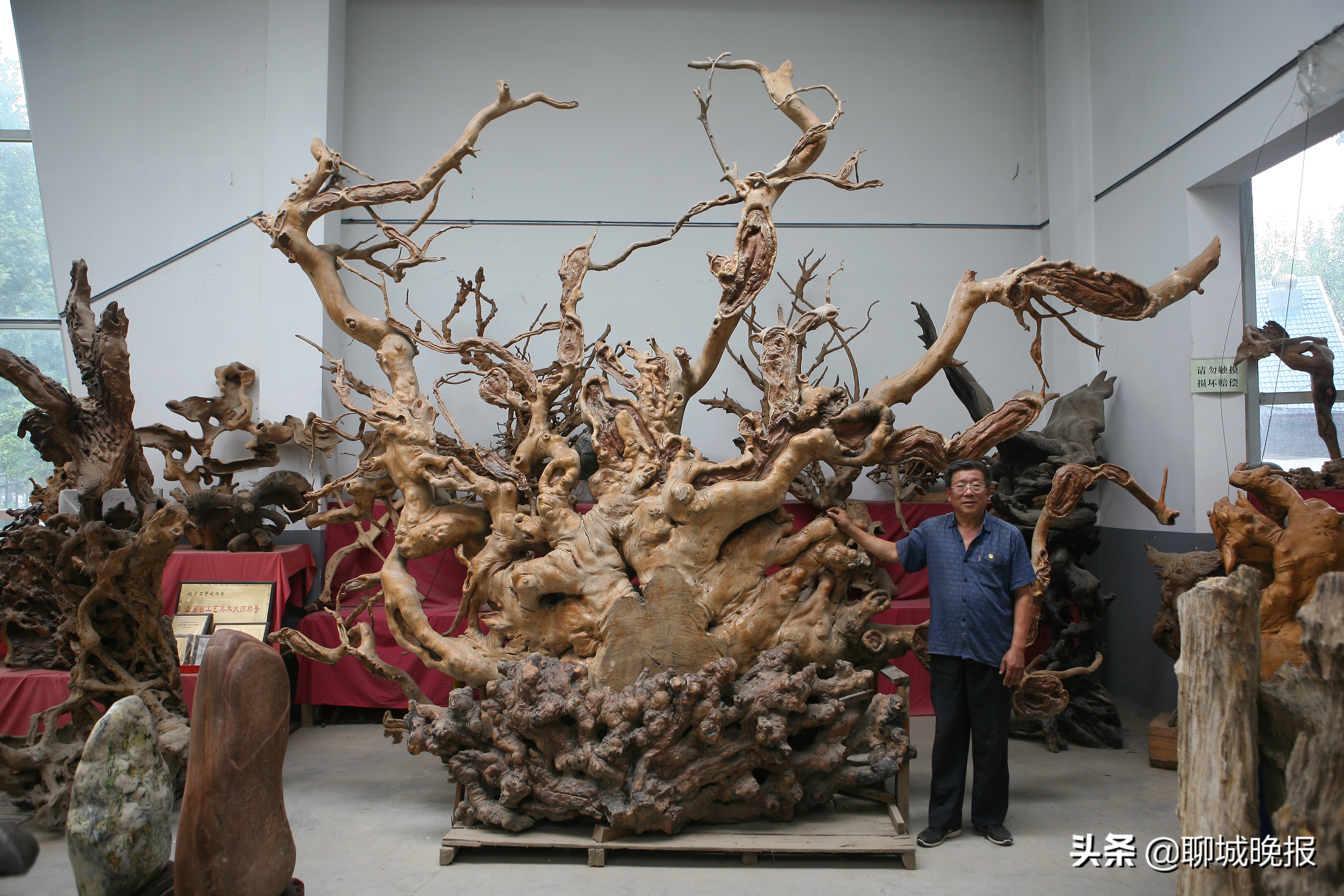 阳谷根雕：父子接续传承塑造根之大美