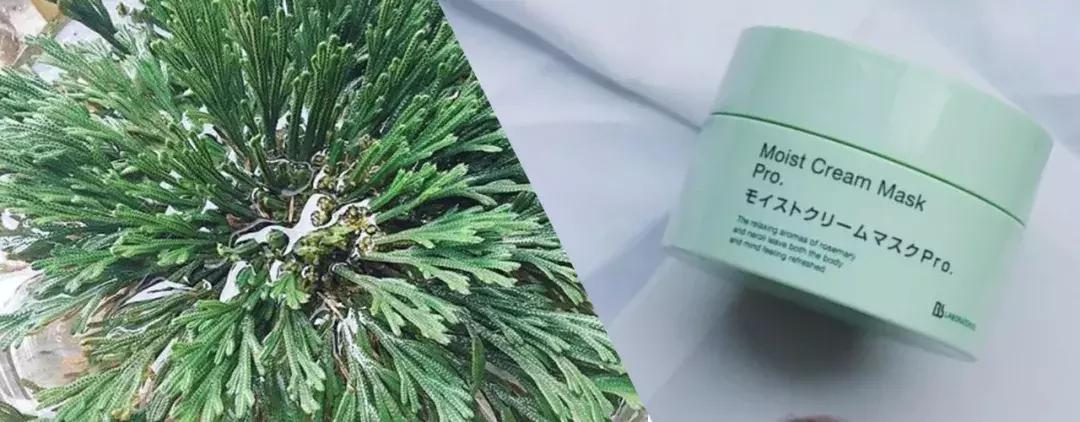 日本bblaboratories复活草面膜,复活草日本面膜敷多久变透明