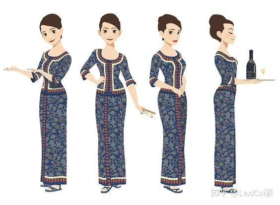 新加坡航空公司案例启示,新加坡航空公司服务案例