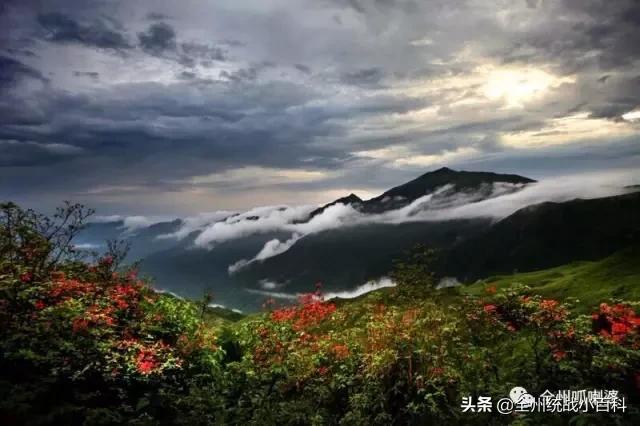 央视宣传全州,央视向全国推介吉林