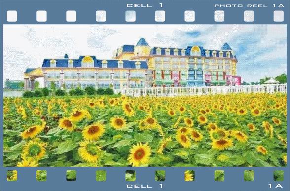 广州周边游一日游刺激,广州周边特价游